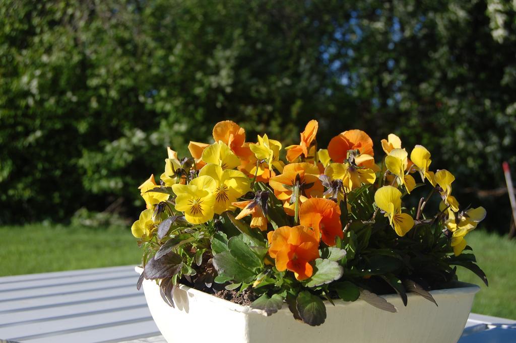 Brunnsgarden Bed & Breakfast Skelleftea Luaran gambar