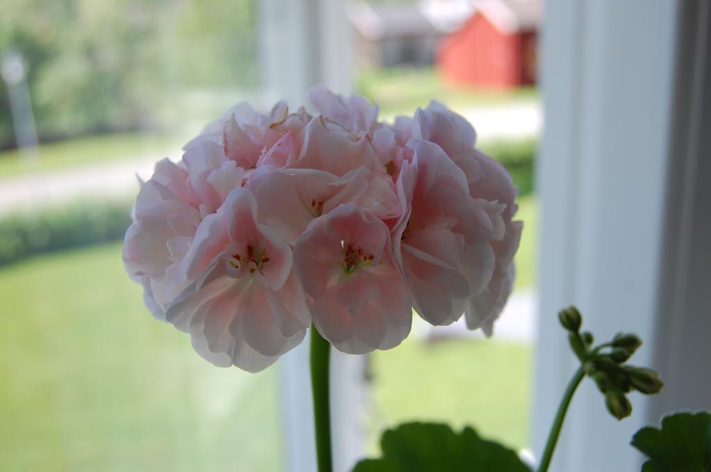 Brunnsgarden Bed & Breakfast Skelleftea Luaran gambar
